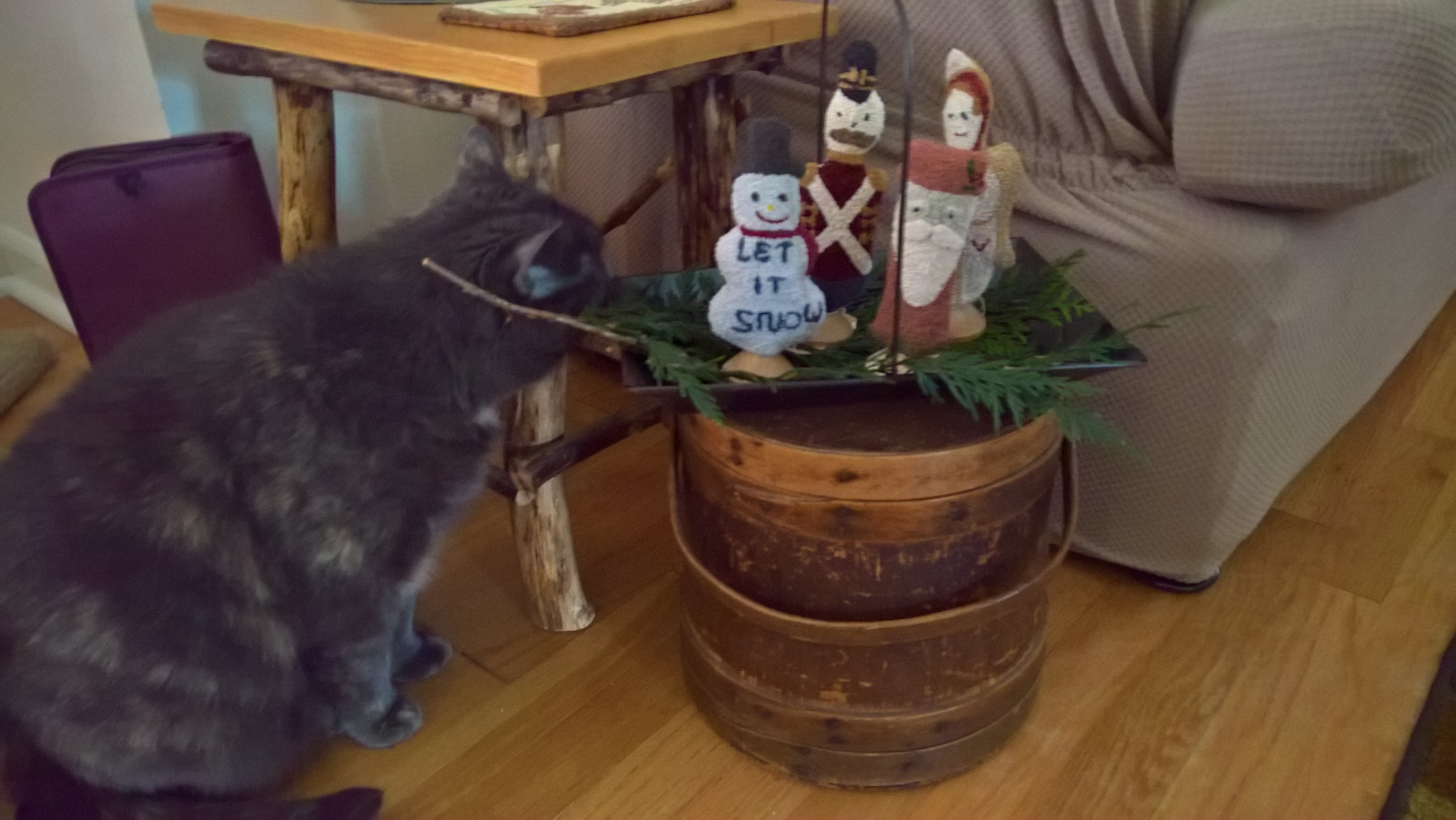 WP_20191203_15_14_10_Rich