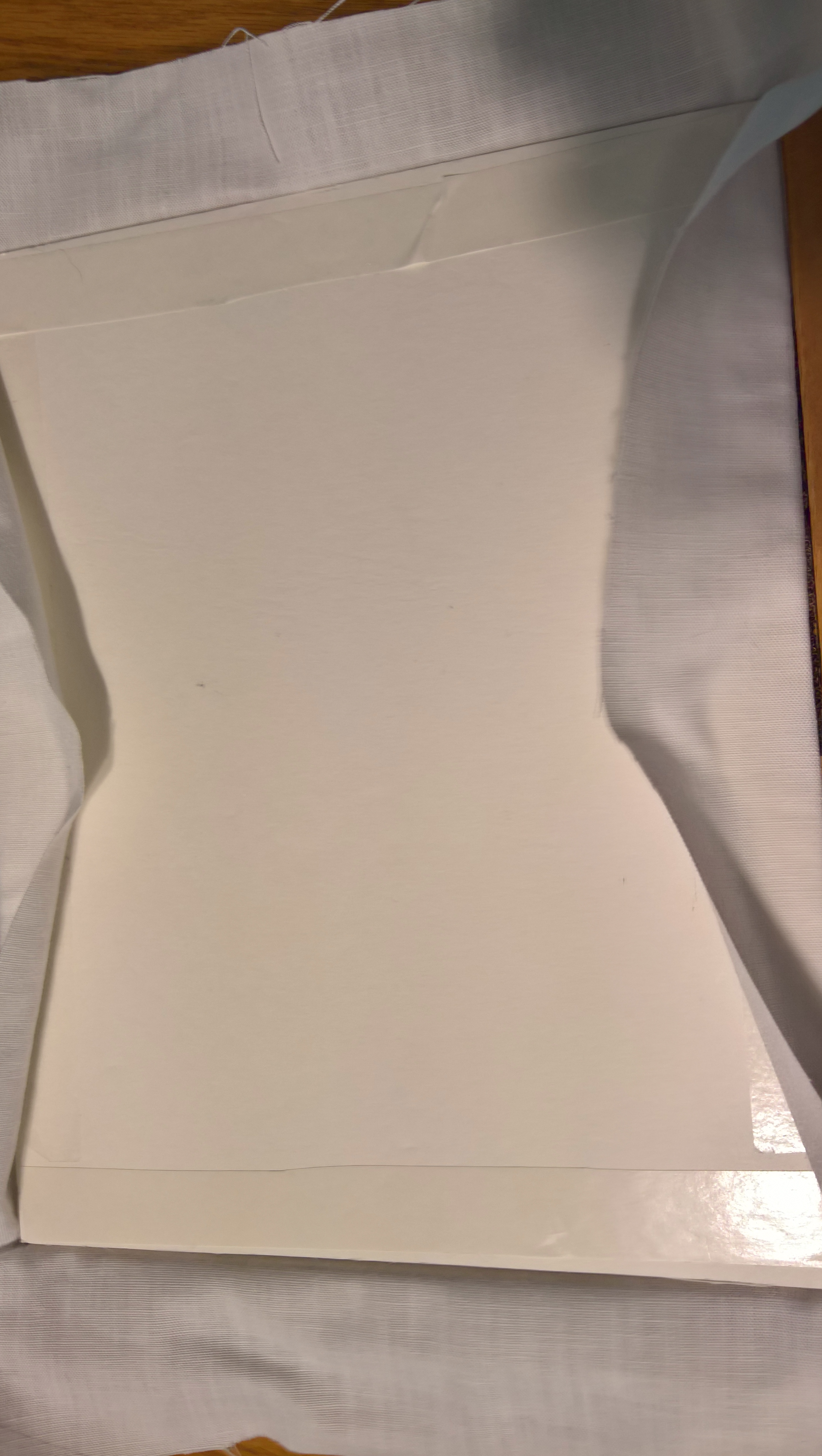 WP_20200331_12_59_29_Rich